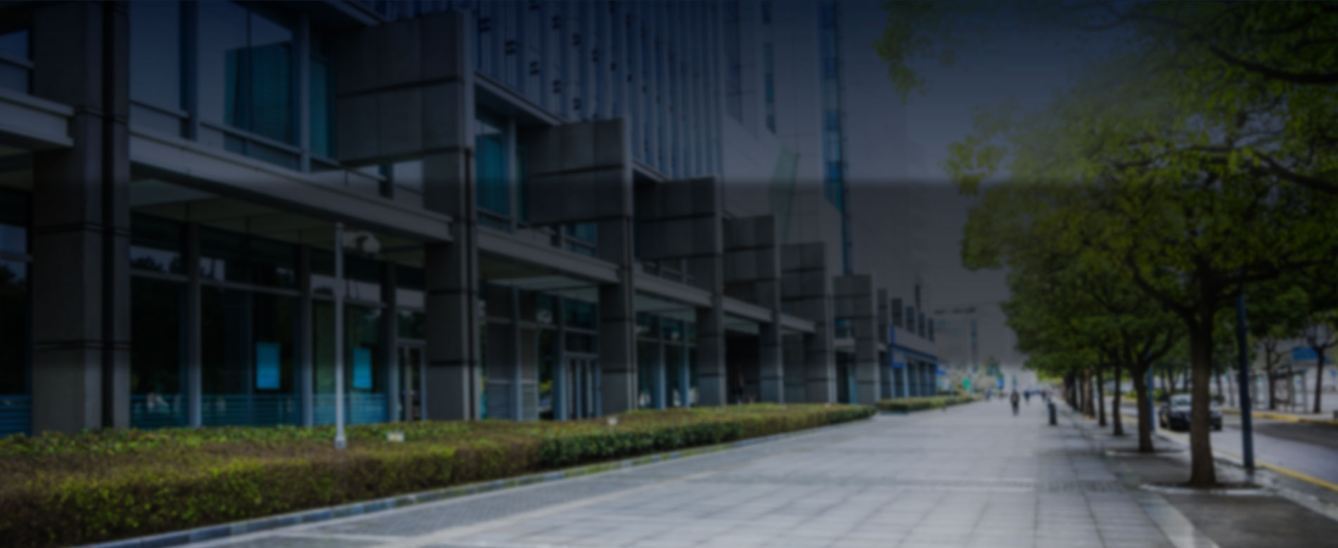 banner ejemplo novedades